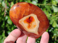 Polished Carnelian Agate Standing Free Forms x 6 From Madagascar - Toprock Gemstones and Minerals 