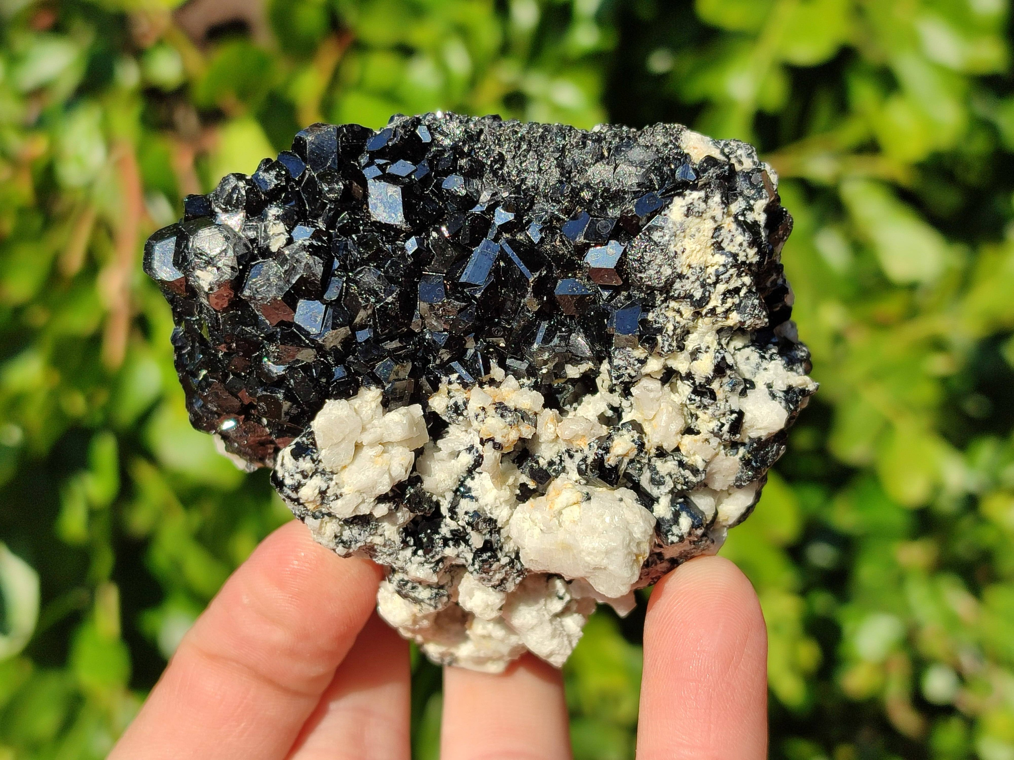 Natural Schorl Black Tourmaline Specimens x 4 From Erongo, Namibia - Toprock Gemstones and Minerals 