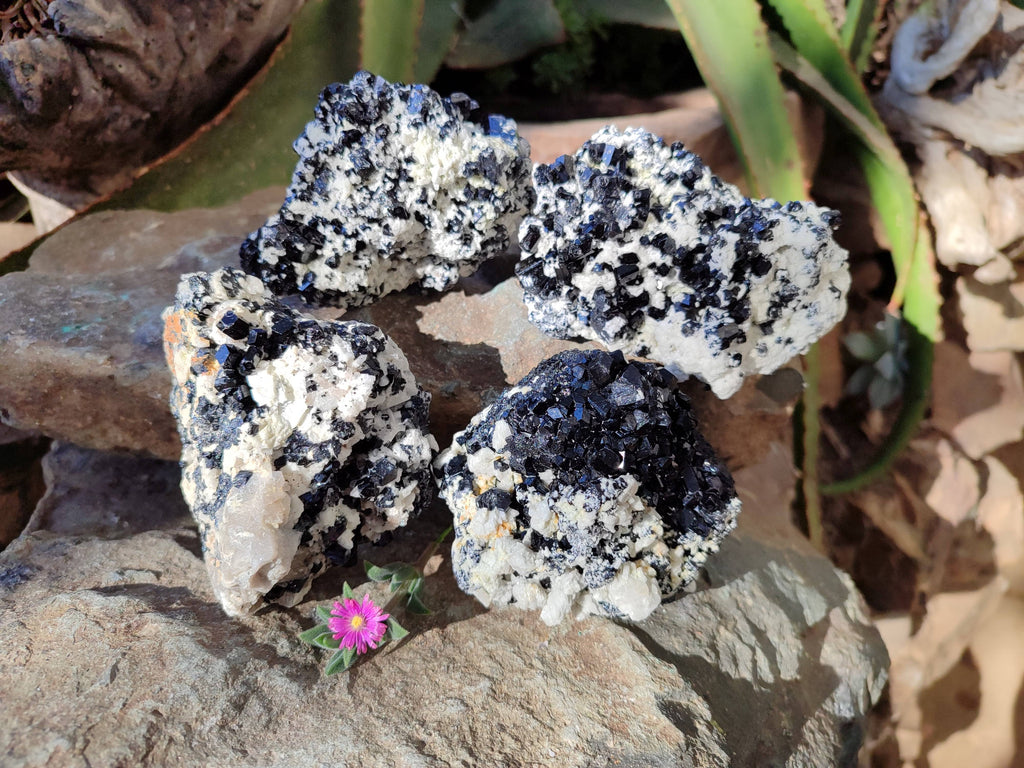 Natural Schorl Black Tourmaline Specimens x 4 From Erongo, Namibia - Toprock Gemstones and Minerals 