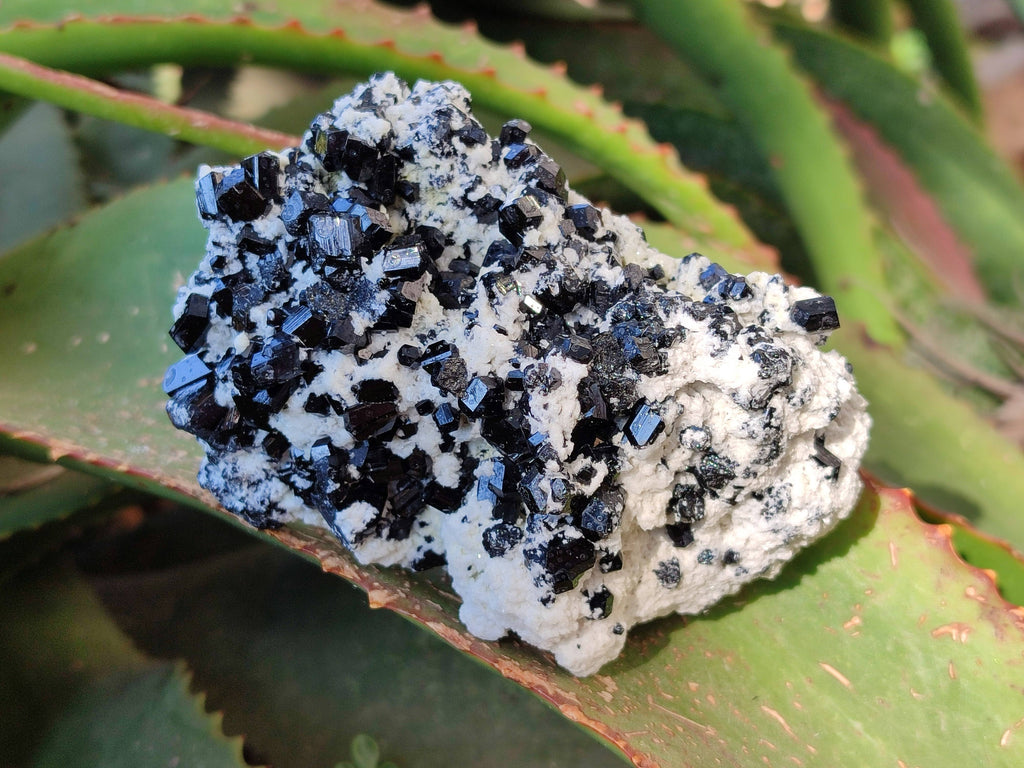 Natural Schorl Black Tourmaline Specimens x 4 From Erongo, Namibia - Toprock Gemstones and Minerals 