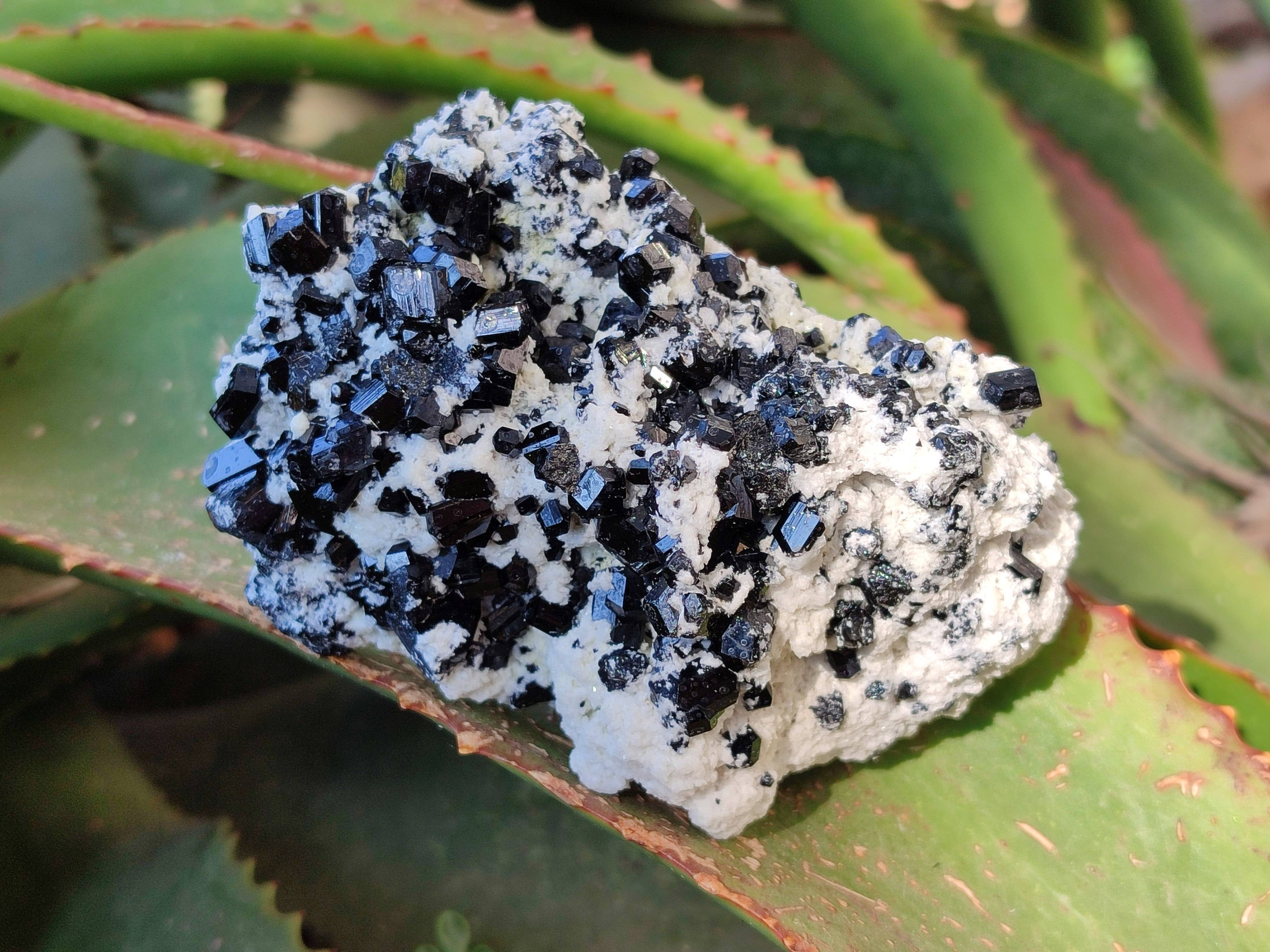 Natural Schorl Black Tourmaline Specimens x 4 From Erongo, Namibia - Toprock Gemstones and Minerals 
