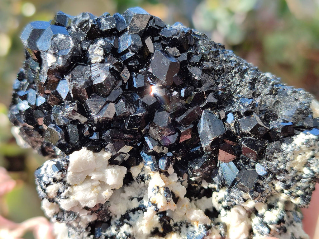 Natural Schorl Black Tourmaline Specimens x 4 From Erongo, Namibia - Toprock Gemstones and Minerals 