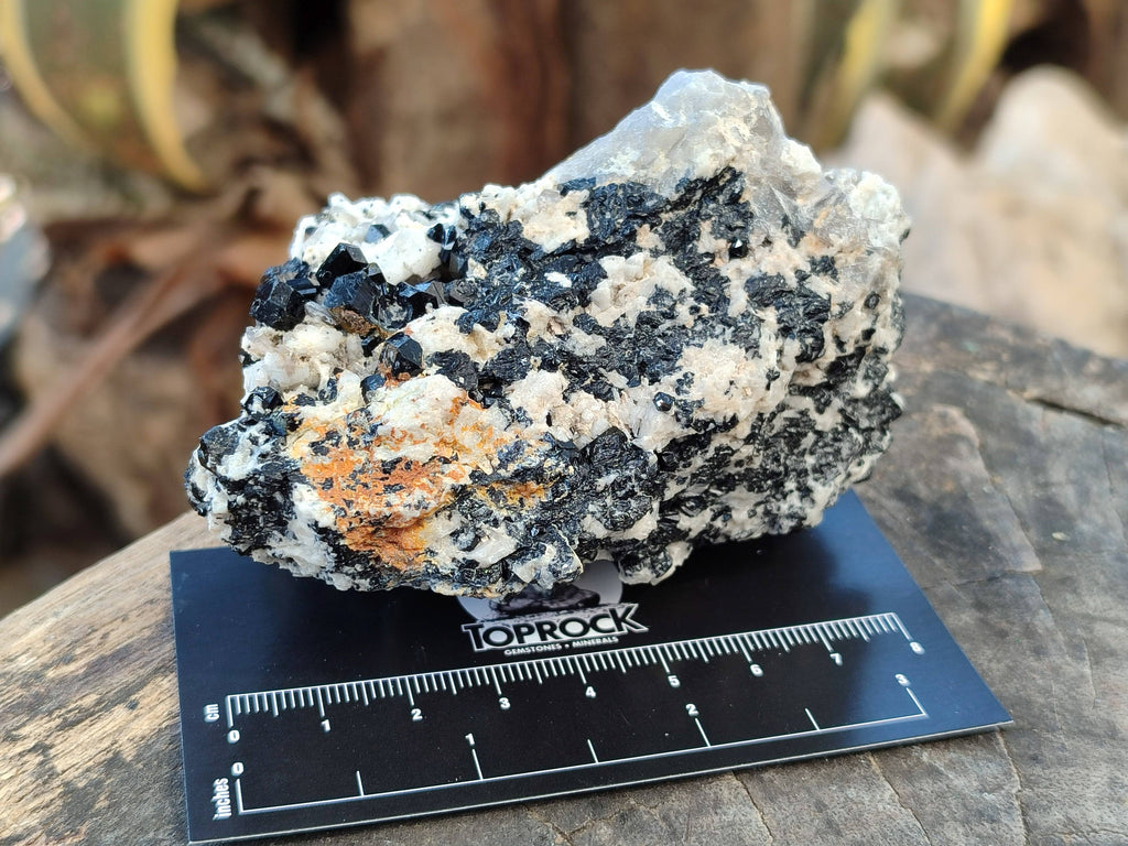 Natural Schorl Black Tourmaline Specimens x 4 From Erongo, Namibia - Toprock Gemstones and Minerals 