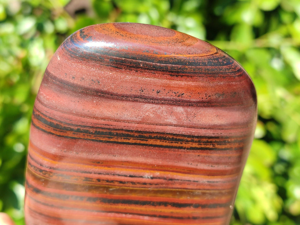 Polished Banded Tiger Iron Standing Free Forms x 3 From South Africa - Toprock Gemstones and Minerals 