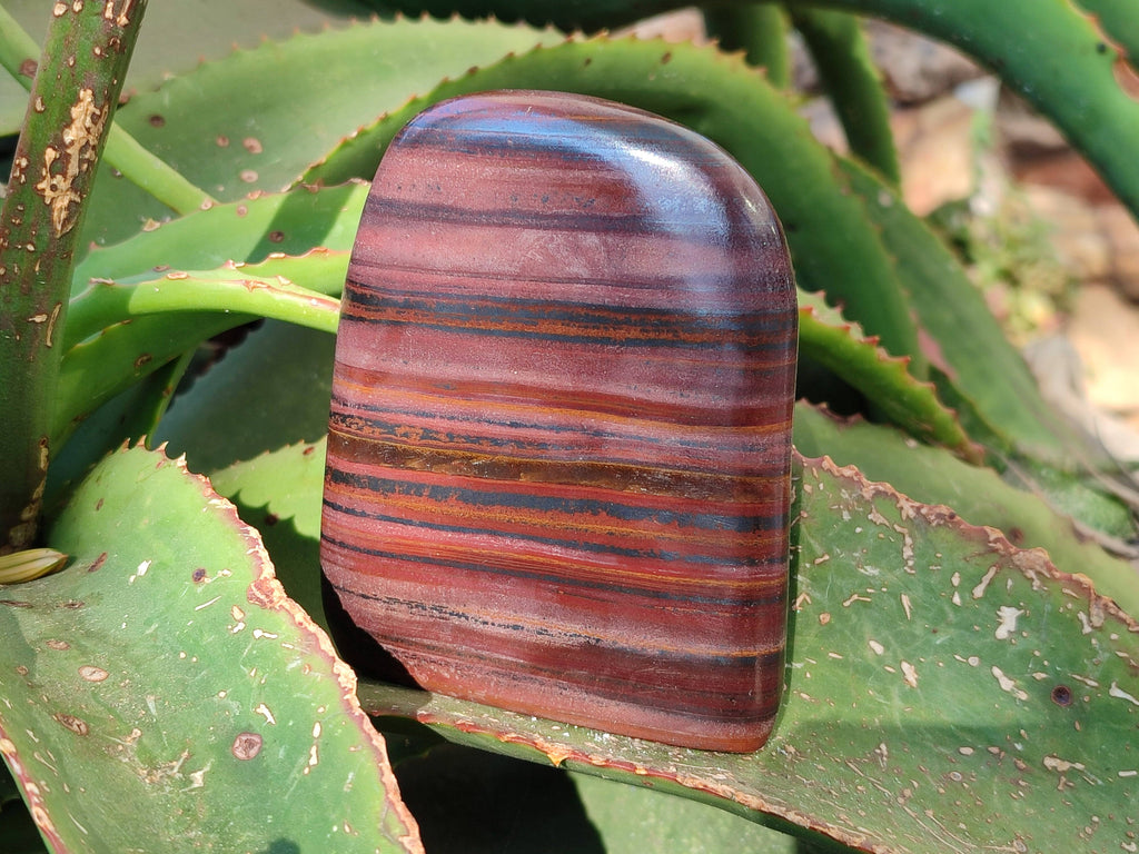 Polished Banded Tiger Iron Standing Free Forms x 3 From South Africa - Toprock Gemstones and Minerals 