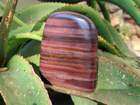 Polished Banded Tiger Iron Standing Free Forms x 3 From South Africa