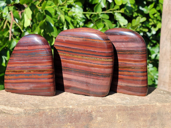 Polished Banded Tiger Iron Standing Free Forms x 3 From South Africa