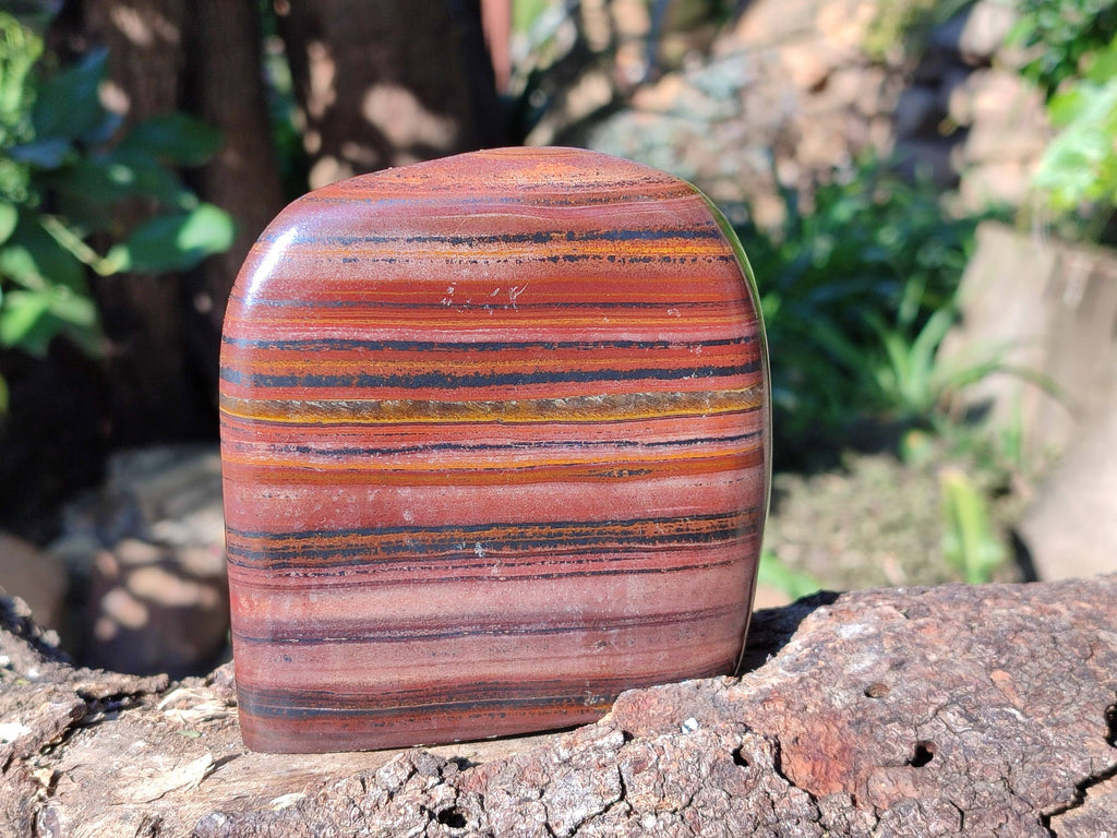 Polished Banded Tiger Iron Standing Free Forms x 3 From South Africa - Toprock Gemstones and Minerals 