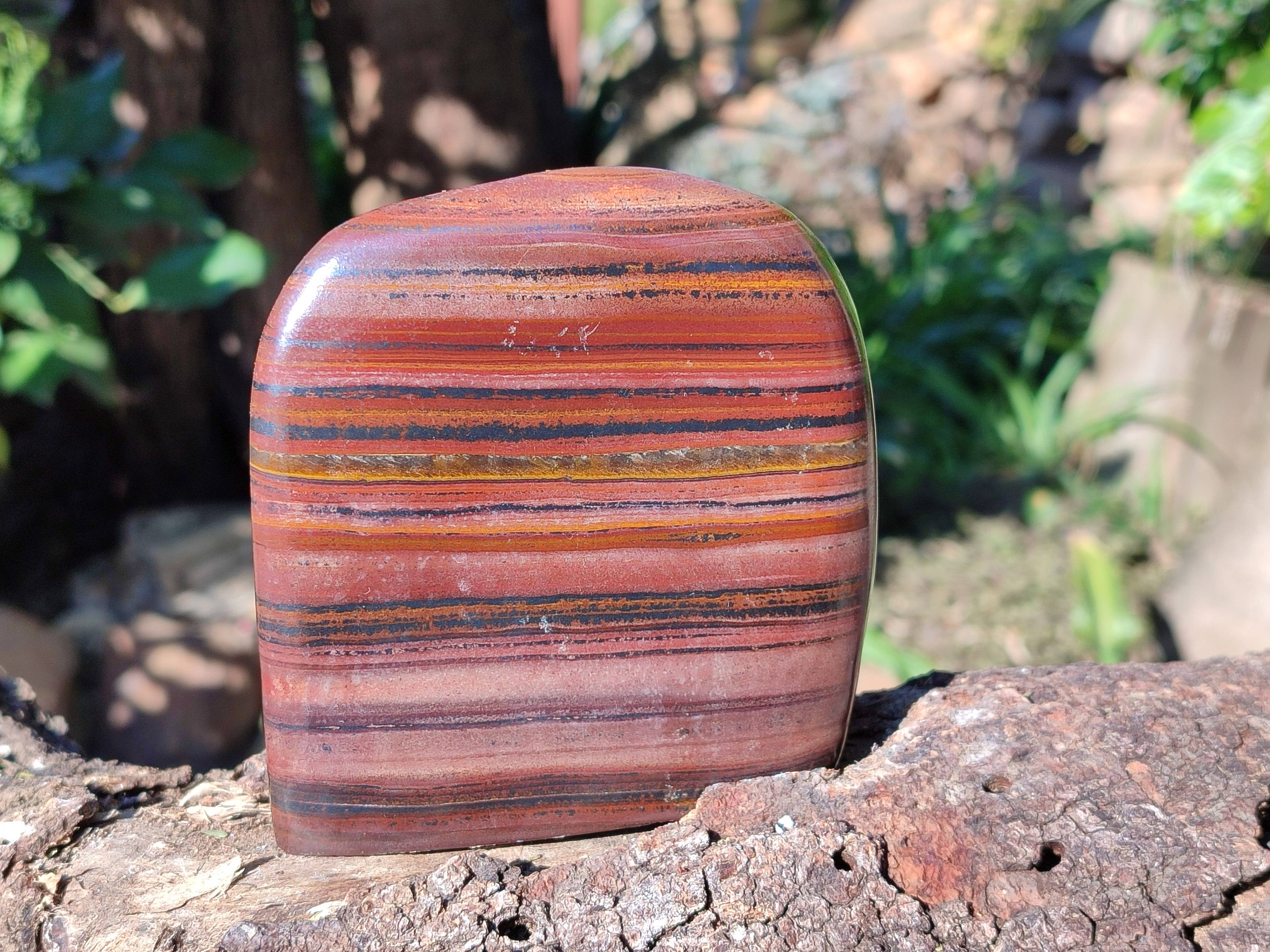 Polished Banded Tiger Iron Standing Free Forms x 3 From South Africa - Toprock Gemstones and Minerals 