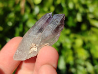 Natural Smokey Amethyst Quartz Crystals x 22 From Brandberg, Namibia