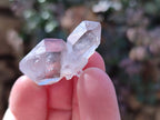 Natural Smokey Amethyst Quartz Crystals x 22 From Brandberg, Namibia - Toprock Gemstones and Minerals 