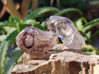 Natural Smokey Amethyst Quartz Crystals x 22 From Brandberg, Namibia
