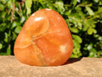 Polished Orange Twist Calcite Standing Free Forms x 3 From Madagascar - Toprock Gemstones and Minerals 