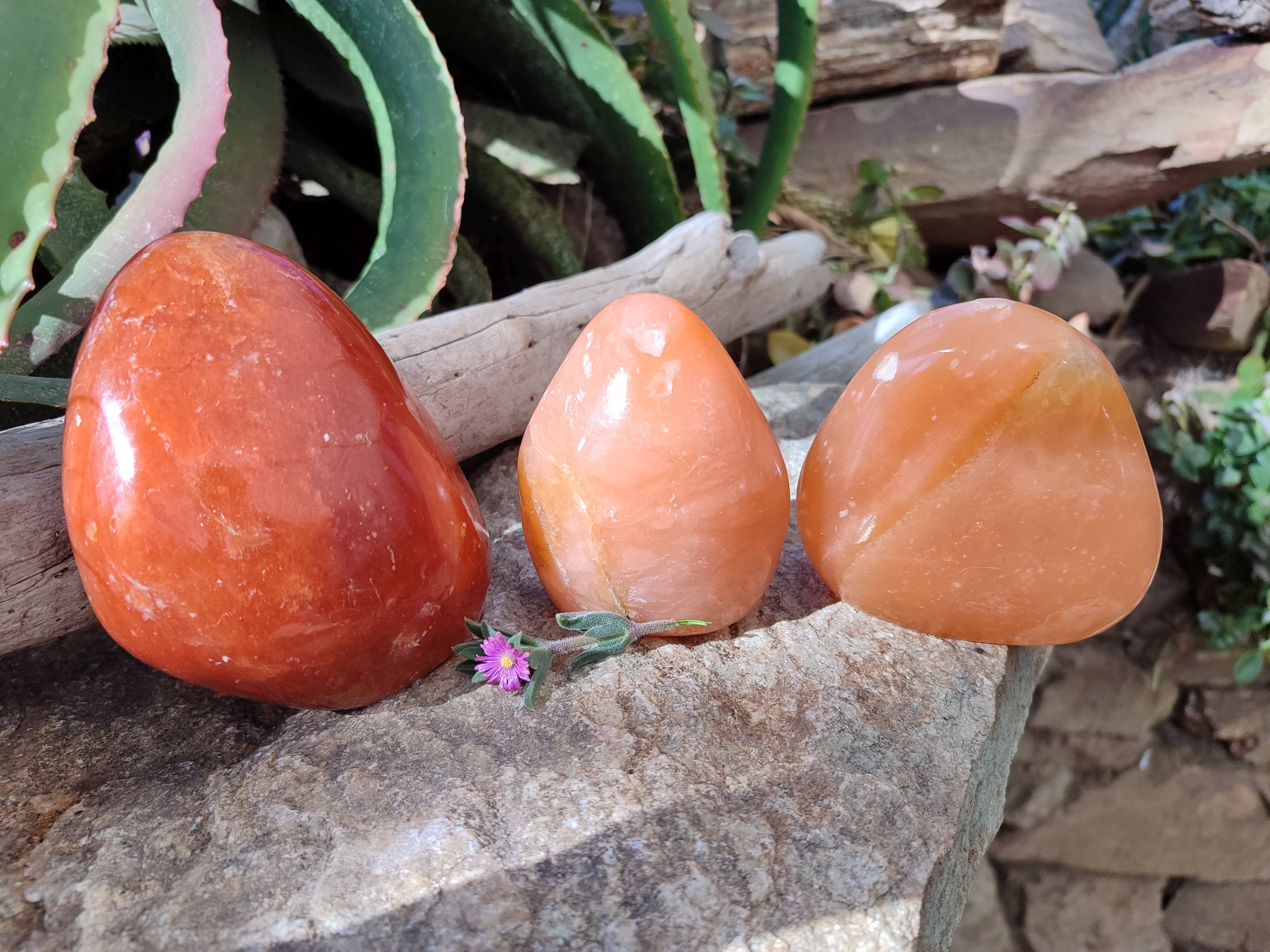 Polished Orange Twist Calcite Standing Free Forms x 3 From Madagascar - Toprock Gemstones and Minerals 
