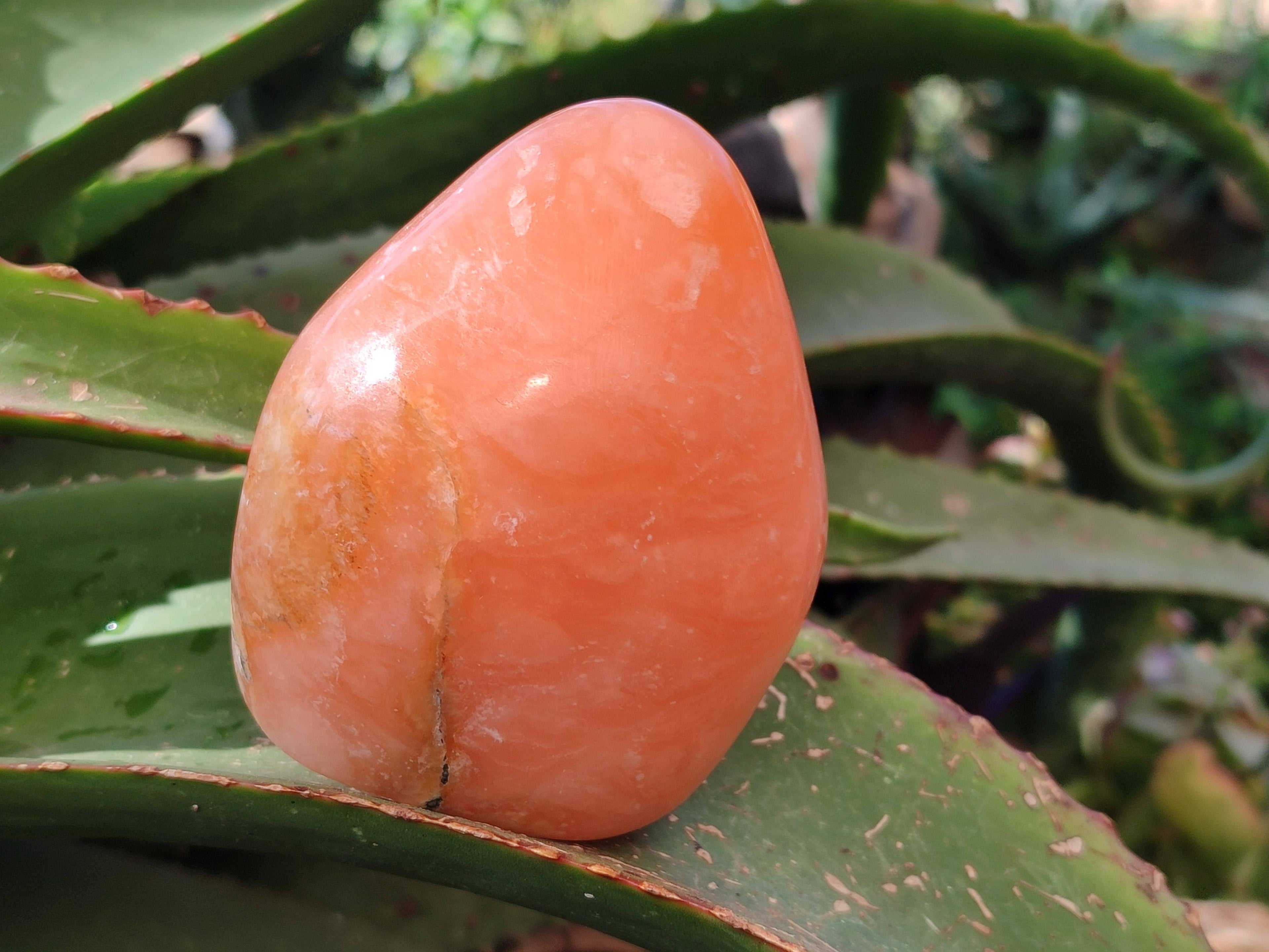 Polished Orange Twist Calcite Standing Free Forms x 3 From Madagascar - Toprock Gemstones and Minerals 
