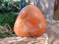 Polished Orange Twist Calcite Standing Free Forms x 3 From Madagascar - Toprock Gemstones and Minerals 