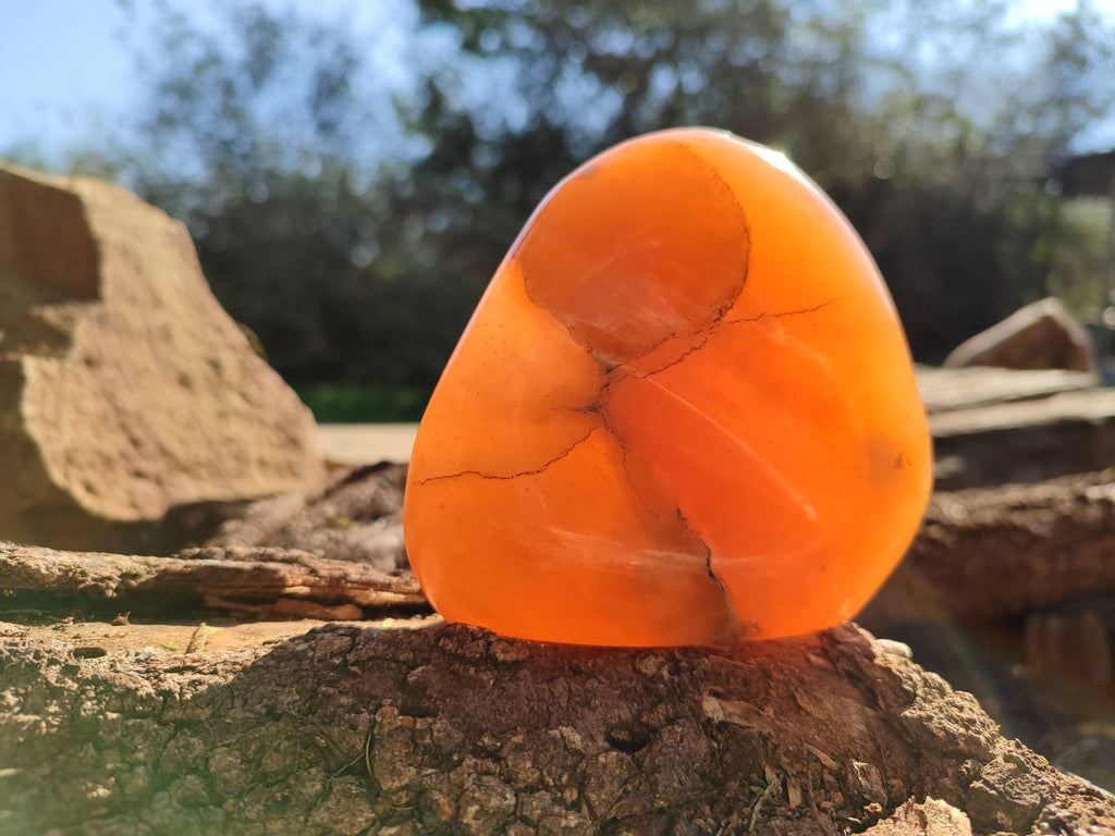 Polished Orange Twist Calcite Standing Free Forms x 3 From Madagascar - Toprock Gemstones and Minerals 