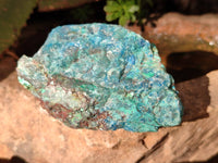 Natural Shattuckite with Chrysocolla Cobbed Specimens x 25 From Kaokoveld, Namibia