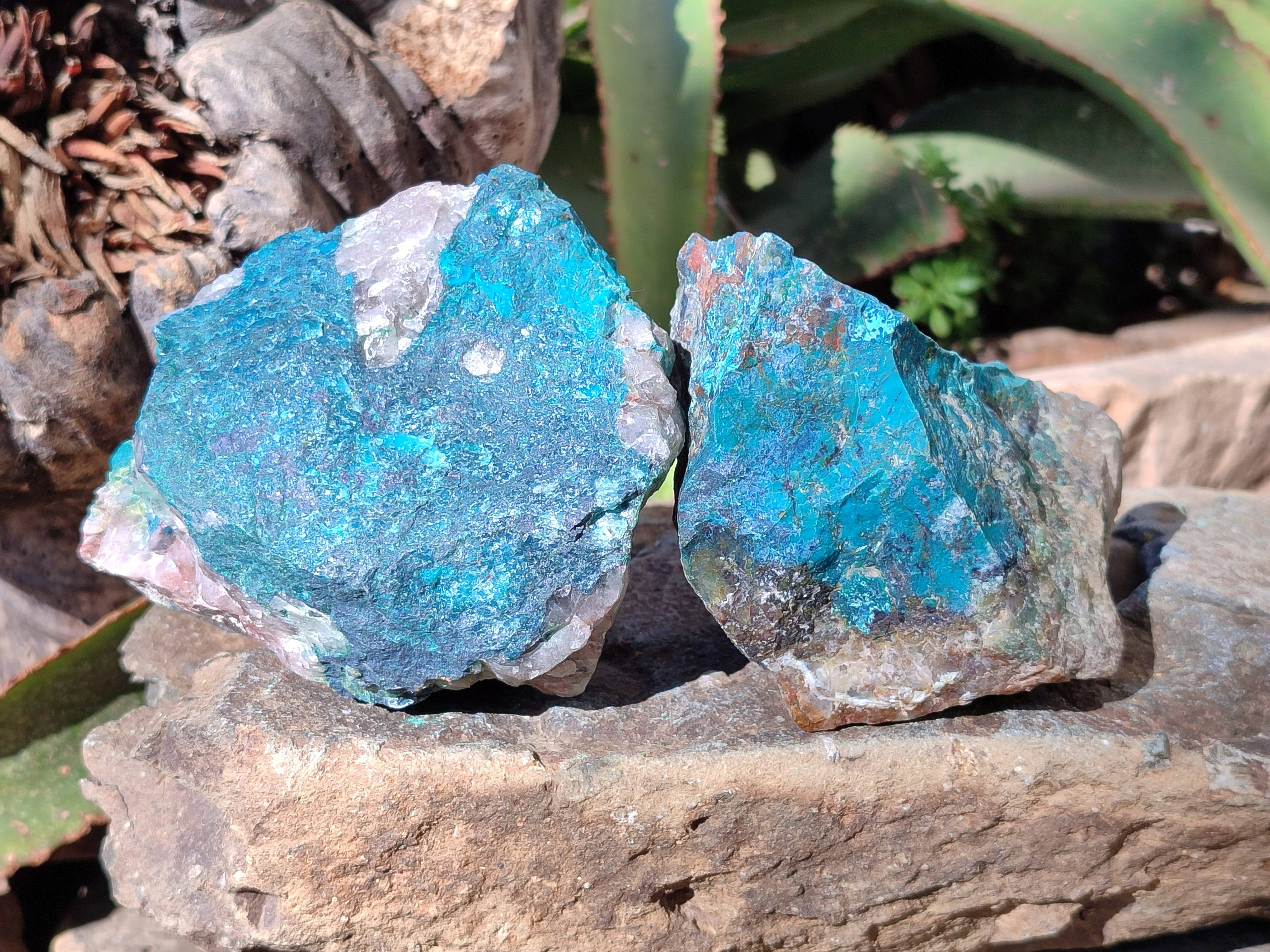 Natural Shattuckite with Chrysocolla Cobbed Specimens x 25 From Kaokoveld, Namibia - Toprock Gemstones and Minerals 