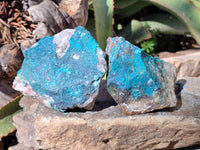Natural Shattuckite with Chrysocolla Cobbed Specimens x 25 From Kaokoveld, Namibia