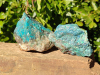 Natural Shattuckite with Chrysocolla Cobbed Specimens x 25 From Kaokoveld, Namibia