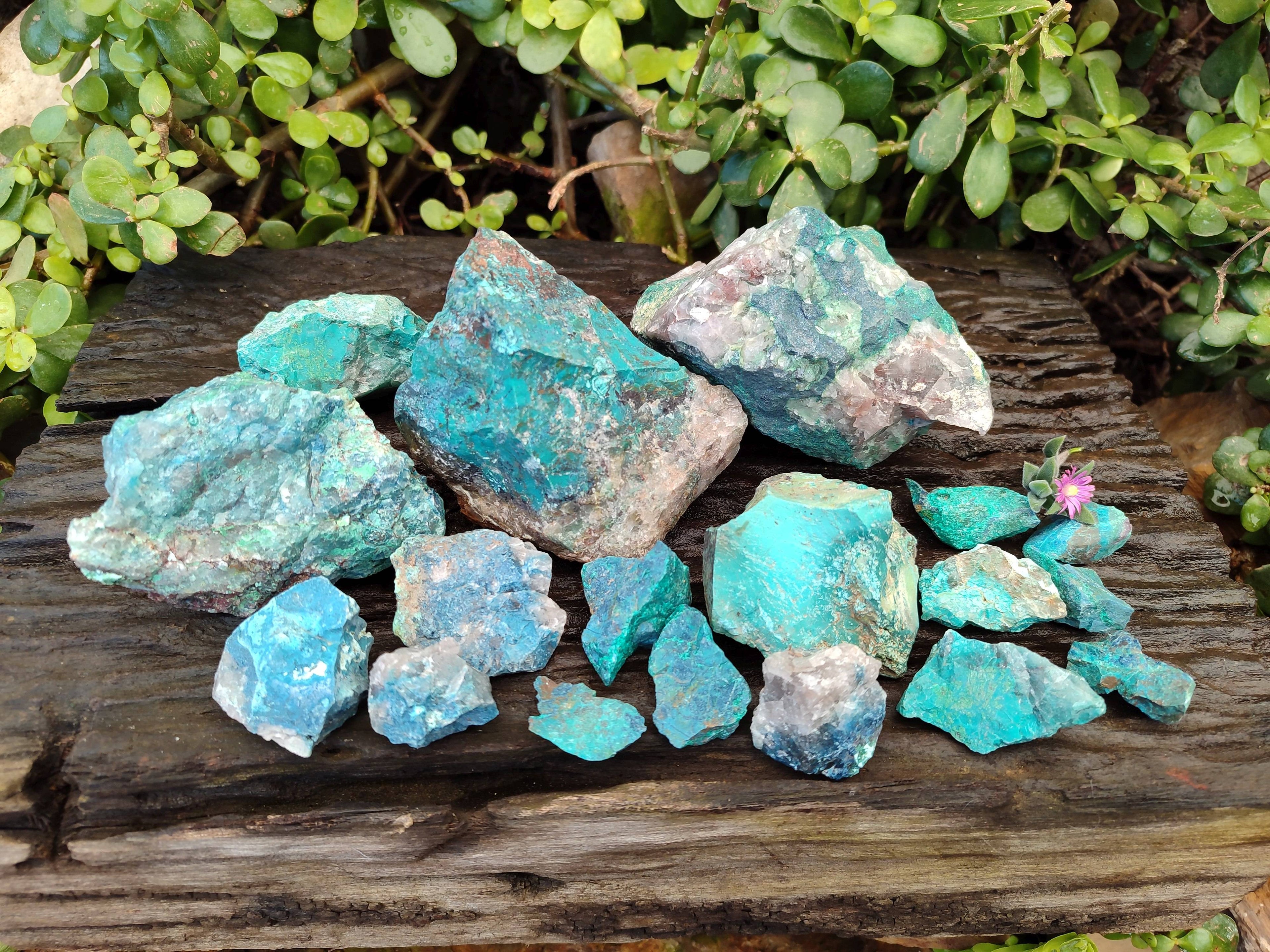 Natural Shattuckite with Chrysocolla Cobbed Specimens x 25 From Kaokoveld, Namibia - Toprock Gemstones and Minerals 