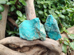 Natural Shattuckite with Chrysocolla Cobbed Specimens x 25 From Kaokoveld, Namibia - Toprock Gemstones and Minerals 