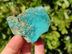 Natural Shattuckite with Chrysocolla Cobbed Specimens x 25 From Kaokoveld, Namibia - Toprock Gemstones and Minerals 
