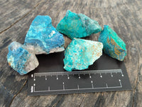 Natural Shattuckite with Chrysocolla Cobbed Specimens x 25 From Kaokoveld, Namibia