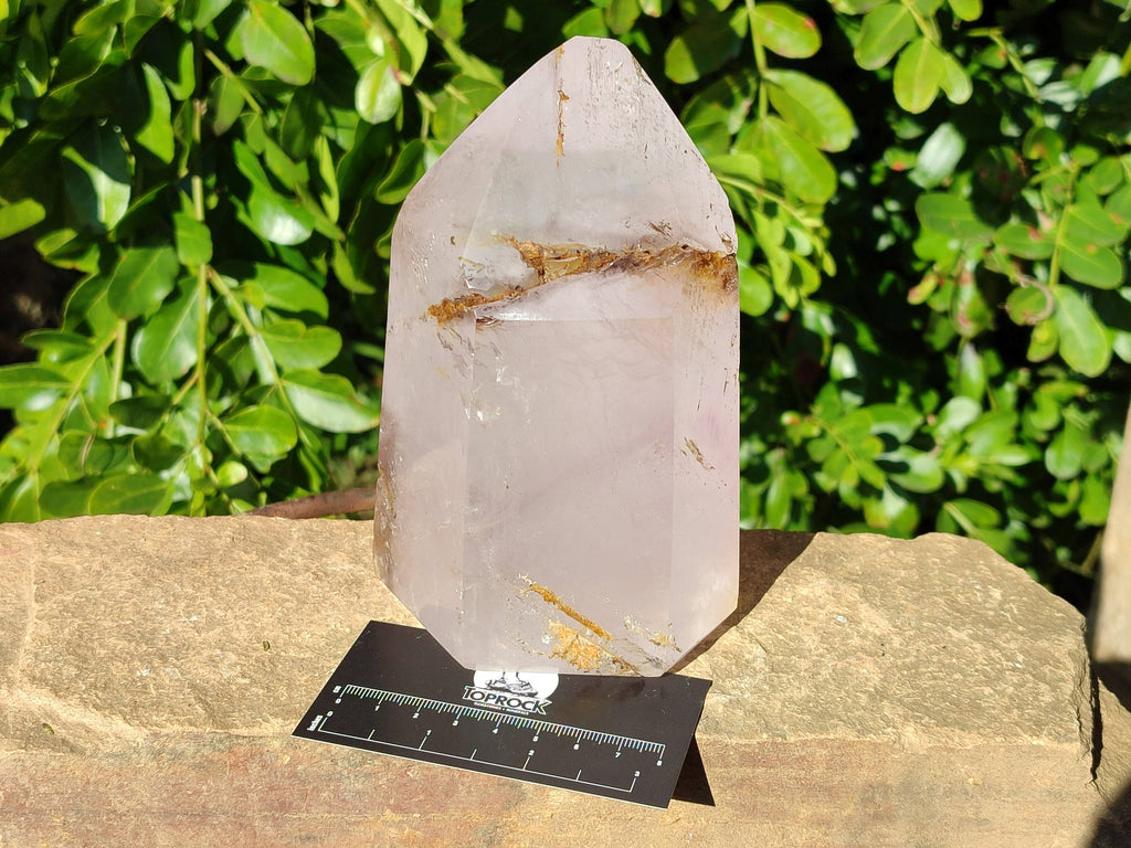 Natural Smokey Window Amethyst Crystal x 1 From Madagascar - Toprock Gemstones and Minerals 