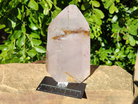 Natural Smokey Window Amethyst Crystal x 1 From Madagascar
