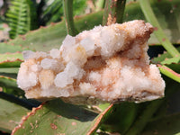 Natural Spirit Quartz Clusters x 6 From Boekenhouthoek, South Africa