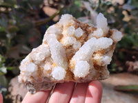 Natural Spirit Quartz Clusters x 6 From Boekenhouthoek, South Africa