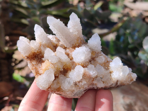 Natural Spirit Quartz Clusters x 6 From Boekenhouthoek, South Africa