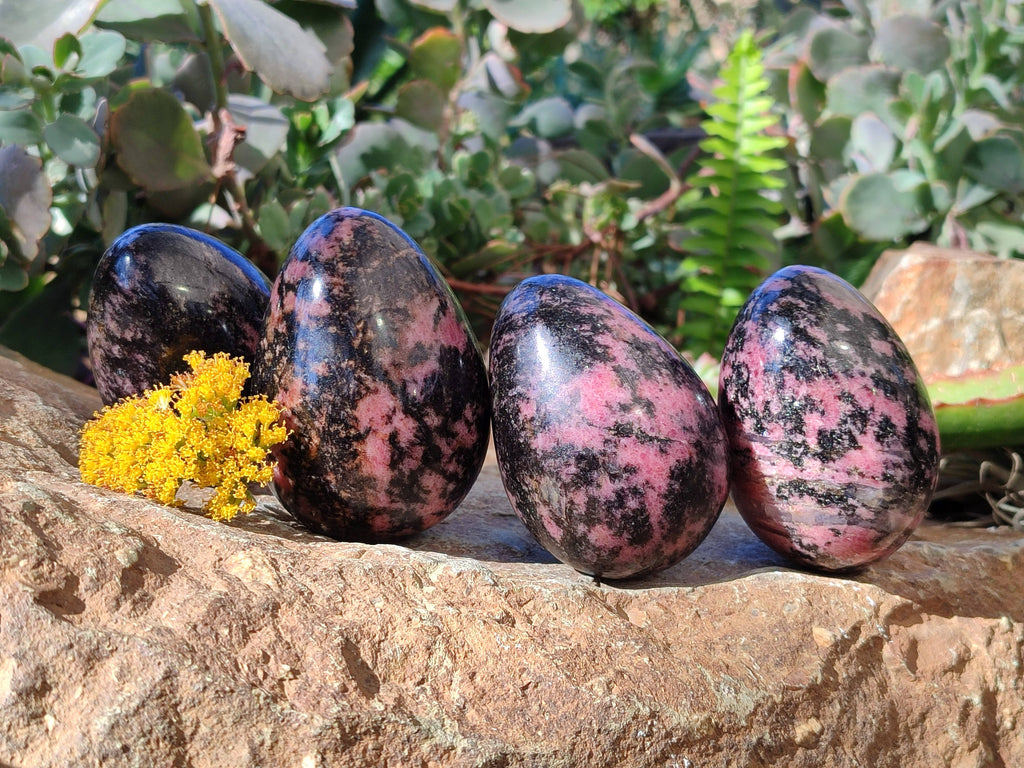 Polished Rhodonite Eggs x 4 From Ambindavato, Madagascar - Toprock Gemstones and Minerals 