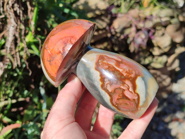 Polished Polychrome Jasper Mushrooms x 6 From Madagascar