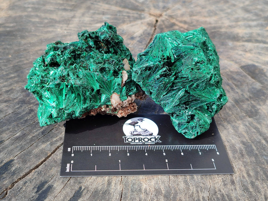 Natural Silky Malachite Specimens x 6 From Kasompe, Congo - Toprock Gemstones and Minerals 