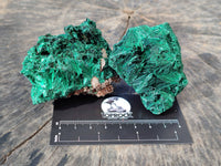 Natural Silky Malachite Specimens x 6 From Kasompe, Congo