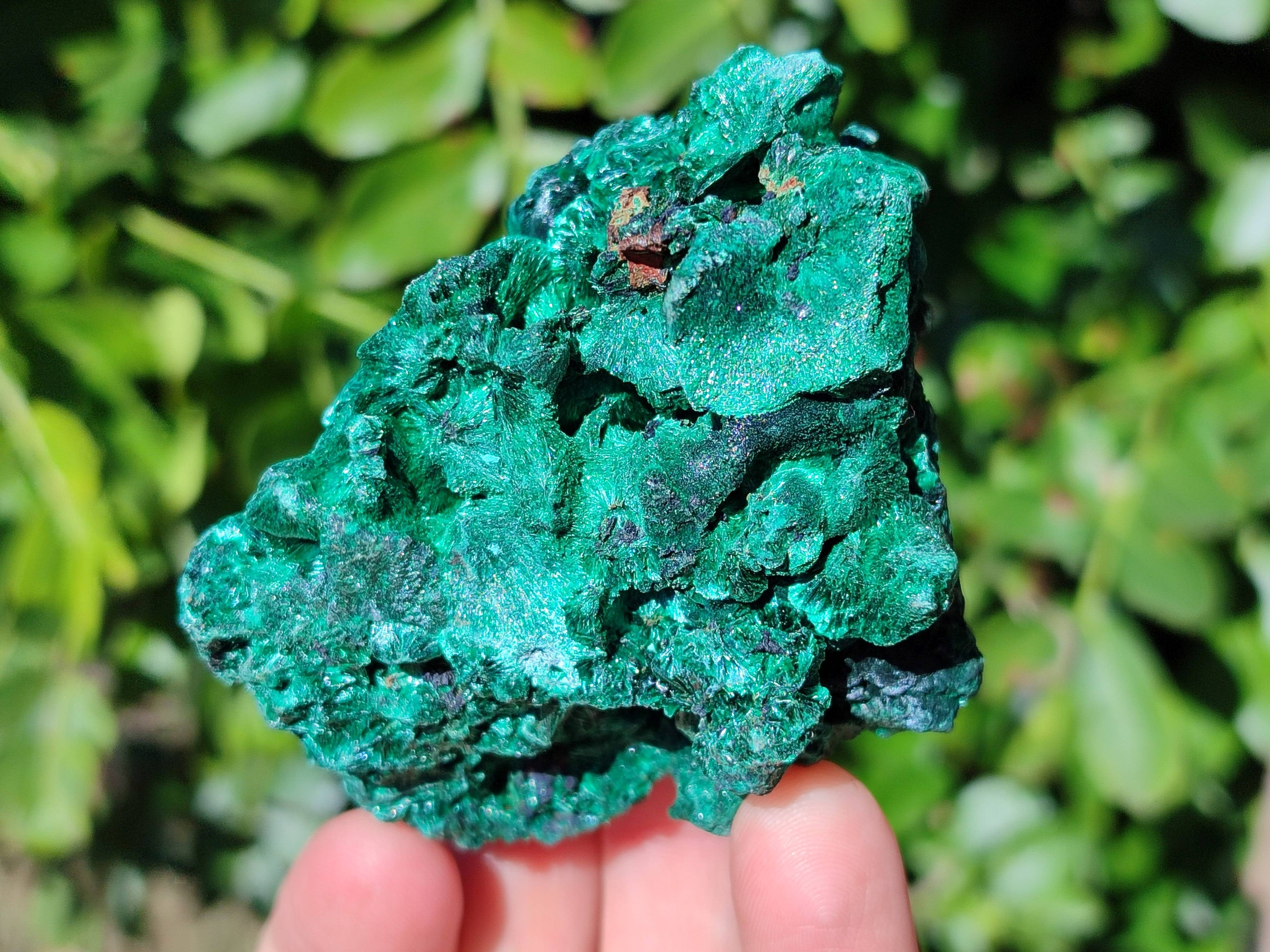 Natural Silky Malachite Specimens x 6 From Kasompe, Congo - Toprock Gemstones and Minerals 