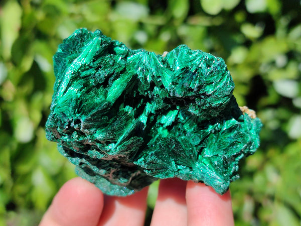 Natural Silky Malachite Specimens x 6 From Kasompe, Congo