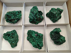 Natural Silky Malachite Specimens x 6 From Kasompe, Congo - Toprock Gemstones and Minerals 