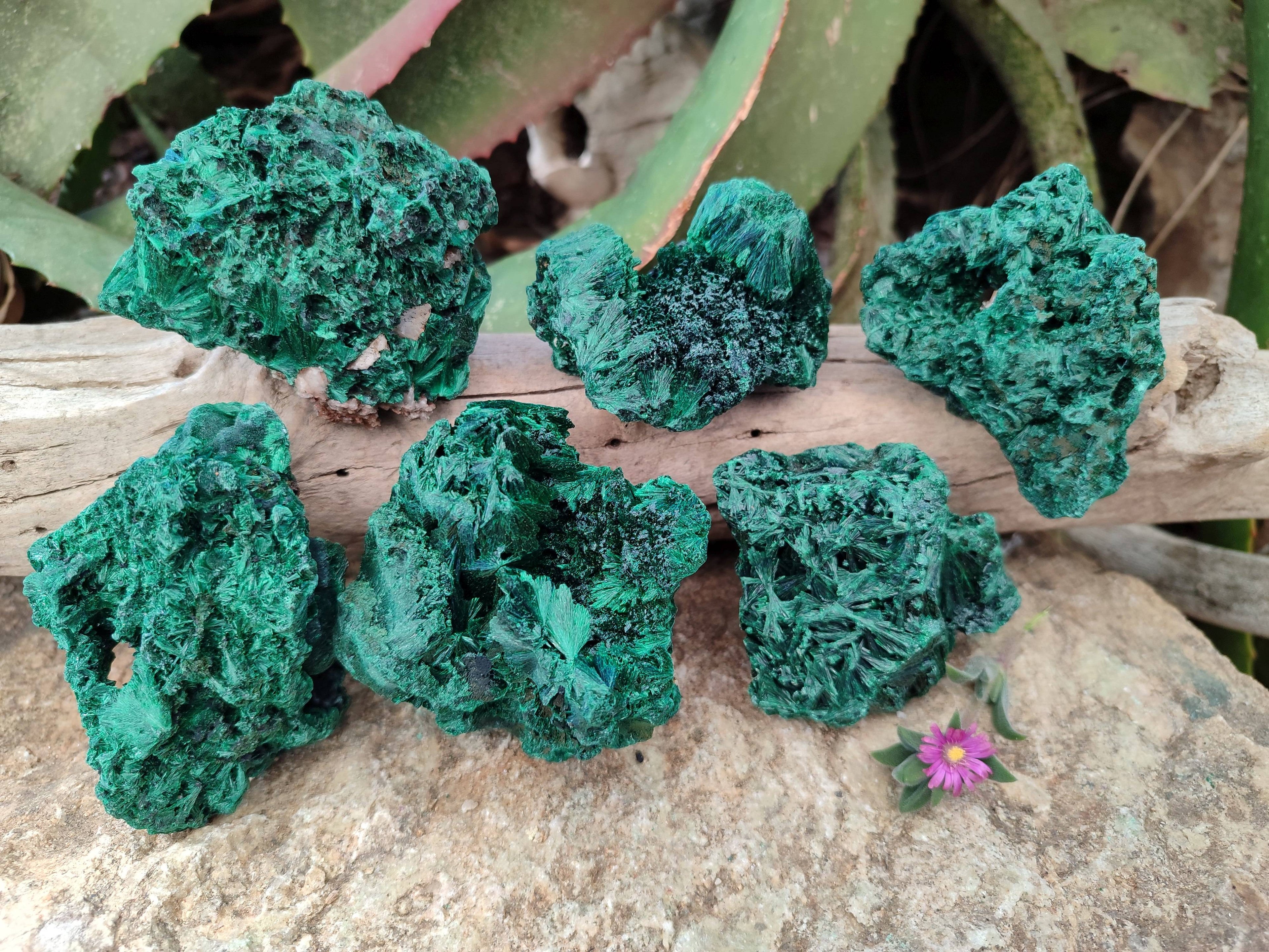 Natural Silky Malachite Specimens x 6 From Kasompe, Congo - Toprock Gemstones and Minerals 