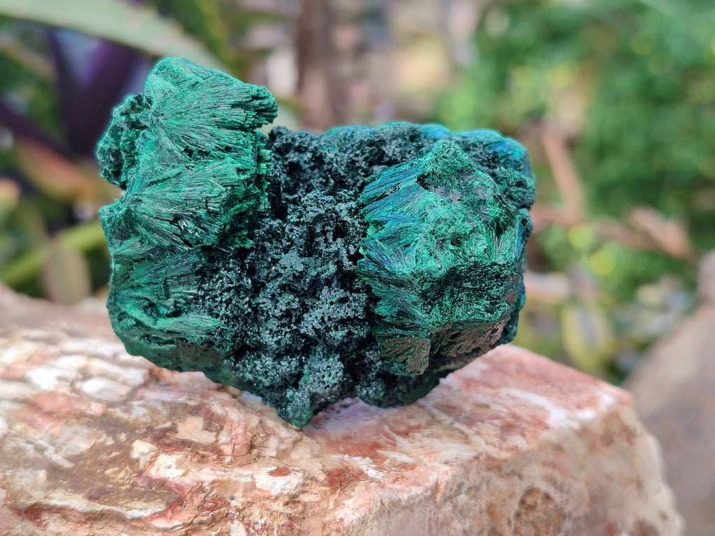 Natural Silky Malachite Specimens x 6 From Kasompe, Congo - Toprock Gemstones and Minerals 