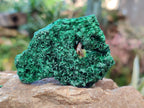 Natural Silky Malachite Specimens x 6 From Kasompe, Congo - Toprock Gemstones and Minerals 