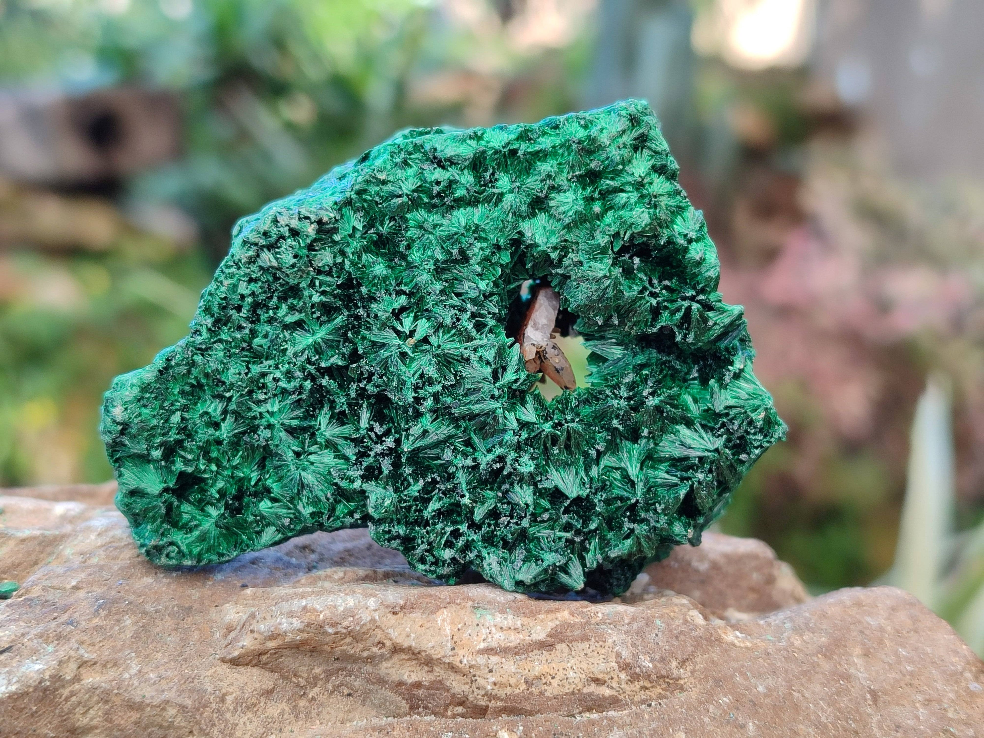 Natural Silky Malachite Specimens x 6 From Kasompe, Congo - Toprock Gemstones and Minerals 