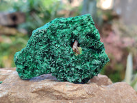 Natural Silky Malachite Specimens x 6 From Kasompe, Congo