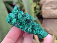Natural Silky Malachite Specimens x 6 From Kasompe, Congo