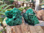 Natural Silky Malachite Specimens x 6 From Kasompe, Congo - Toprock Gemstones and Minerals 