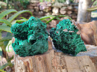 Natural Silky Malachite Specimens x 6 From Kasompe, Congo