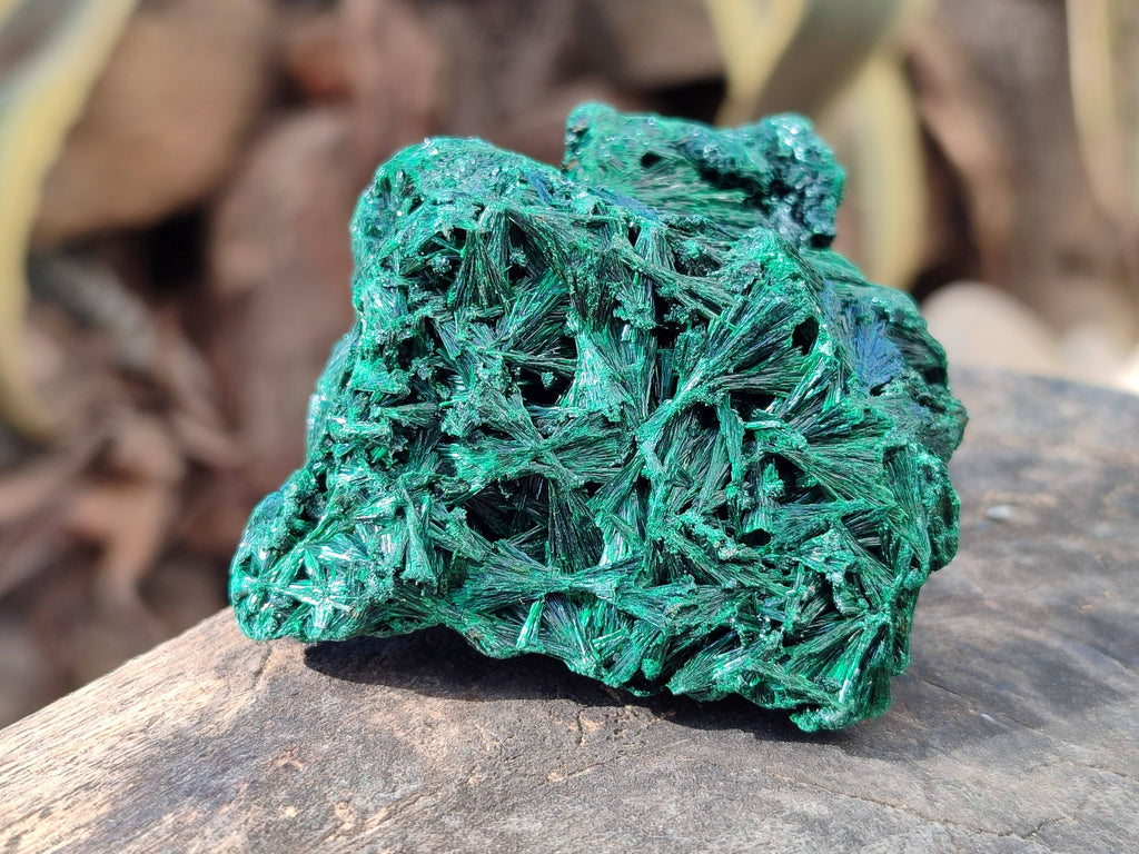 Natural Silky Malachite Specimens x 6 From Kasompe, Congo - Toprock Gemstones and Minerals 